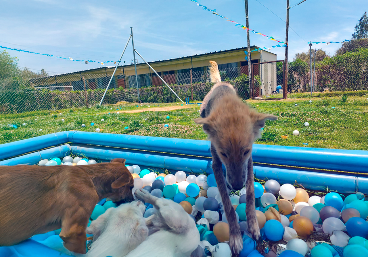 Socialización intergaláctica